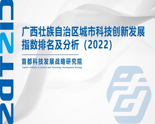 搞鸡巴小视频【成果发布】广西壮族自治区城市科技创新发展指数排名及分析（2022）